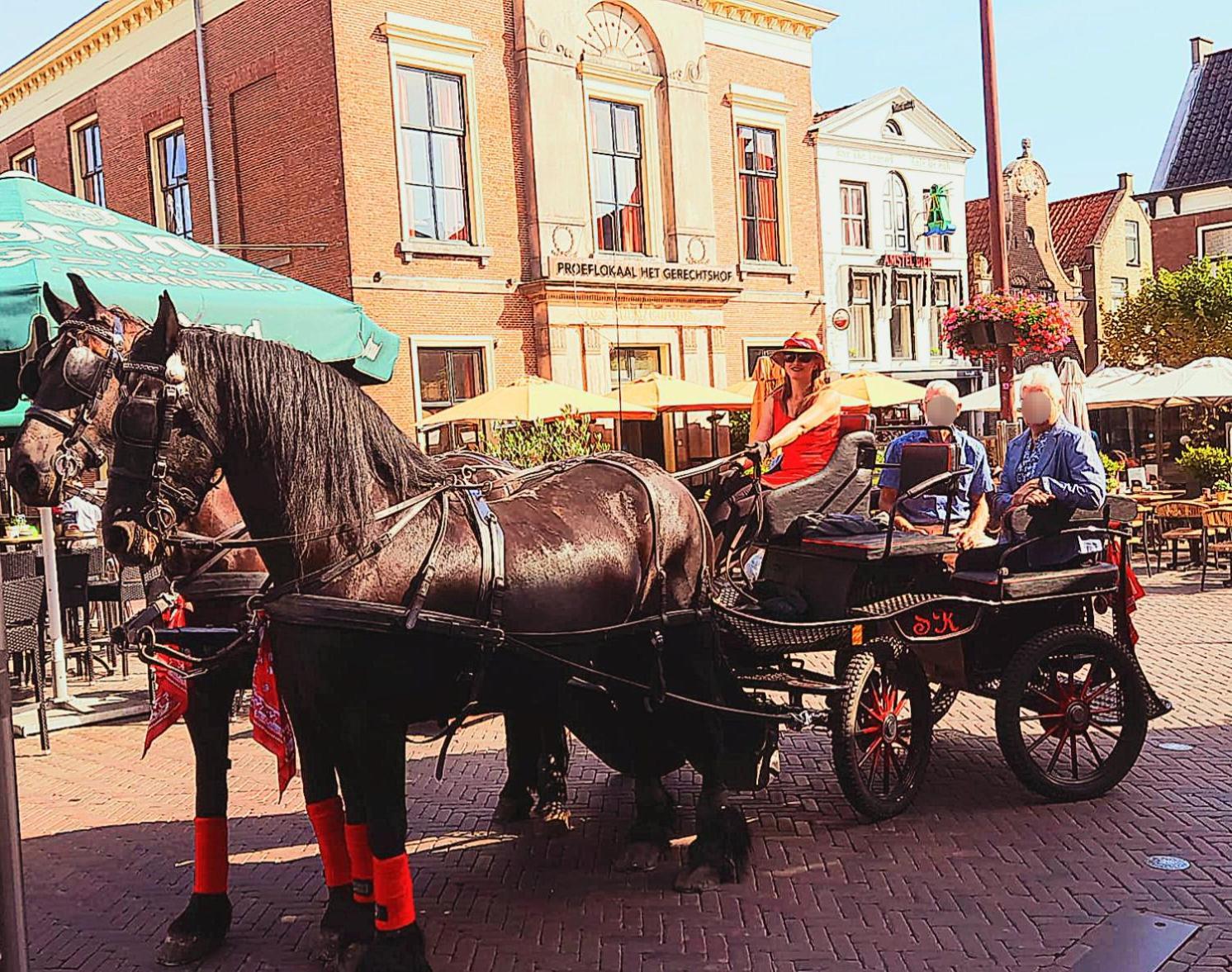 Stacaravan Op De Paardenboerderij Sneek Zewnętrze zdjęcie